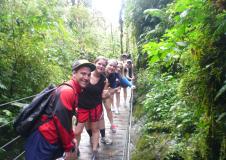 group in jungle
