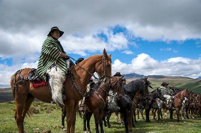 Chagra Ecuador Cowboy