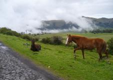 volcano countryside